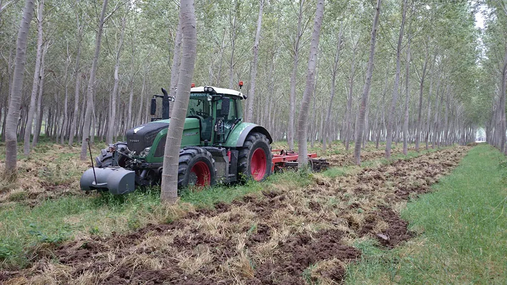 Conseils de votre pépiniériste à Marmande :<span> préparation de sol pour la plantation