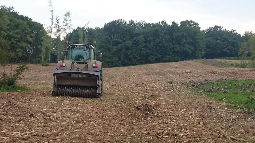 Défrichage forestier à Marmande