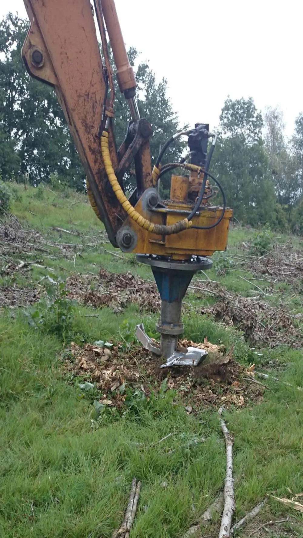 Entretien de parcelle forestière à Marmande